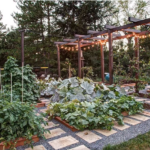 backyard-garden