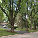 meadowsstreet